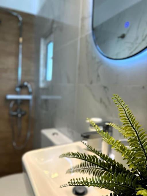 Exquisite Penthouse With Breathtaking Acropolis Panorama View Apartman Athén Kültér fotó